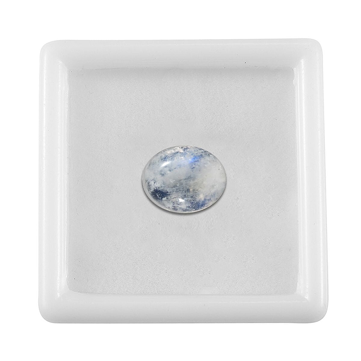 Default Title - Product card gallery slide 4 (10145929560347)