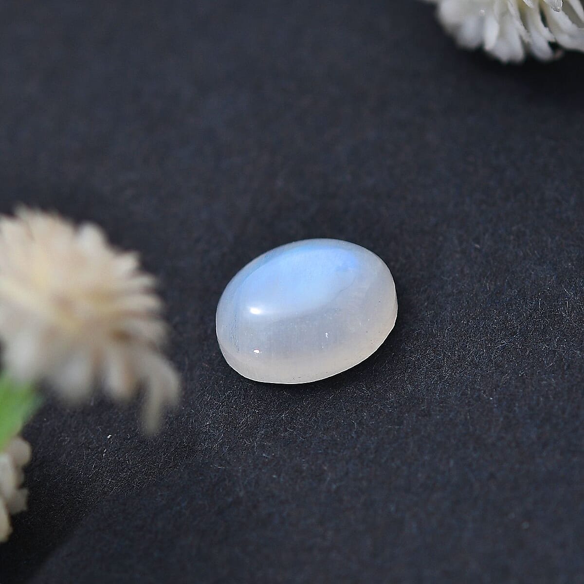 Rainbow Moonstone (Oval 9x7 mm) 1.60 ctw image number 1