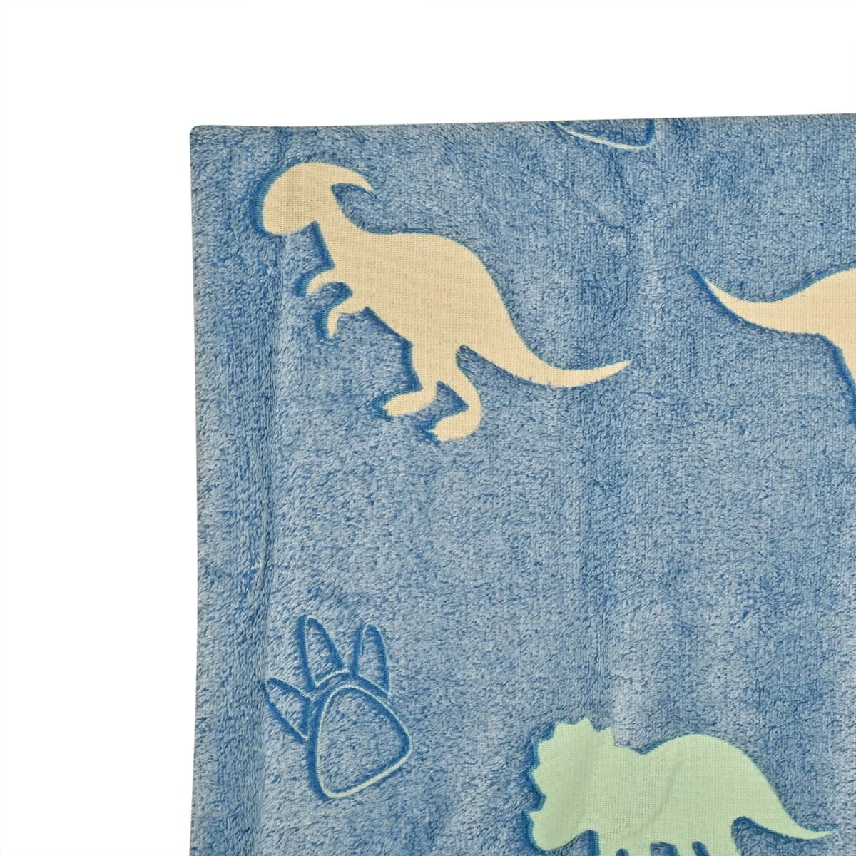 Closeout RD Glow In The Dark 60x50 Dino image number 3