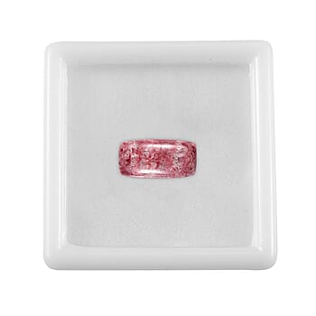 Default Title - Product card gallery slide 4 (10177896415545)