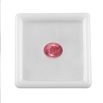 Default Title - Product card gallery slide 3 (10177896612153)
