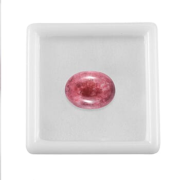 Default Title - Product card gallery slide 4 (10177896874297)