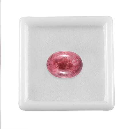Default Title - Product card gallery slide 4 (10177896874297)