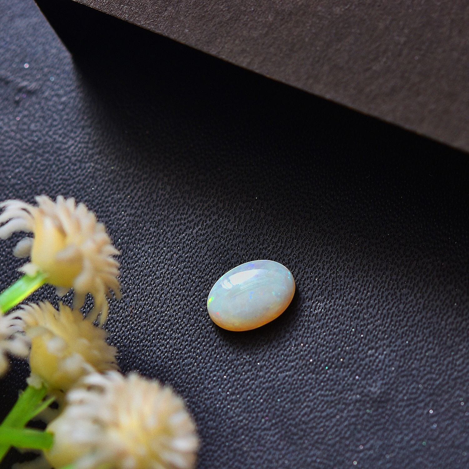 Default Title - Product card gallery slide 2 (10145974223131)