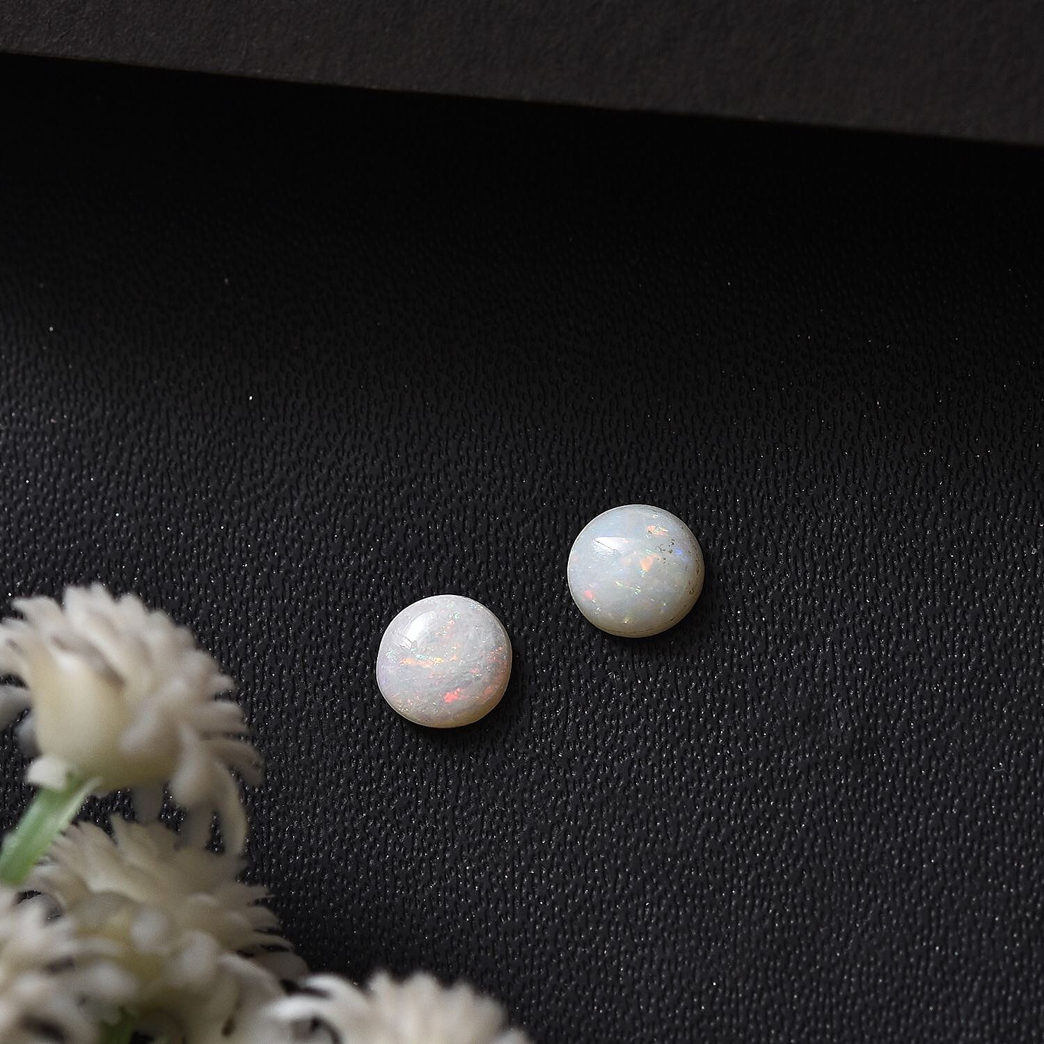 Default Title - Product card gallery slide 2 (10145974649115)