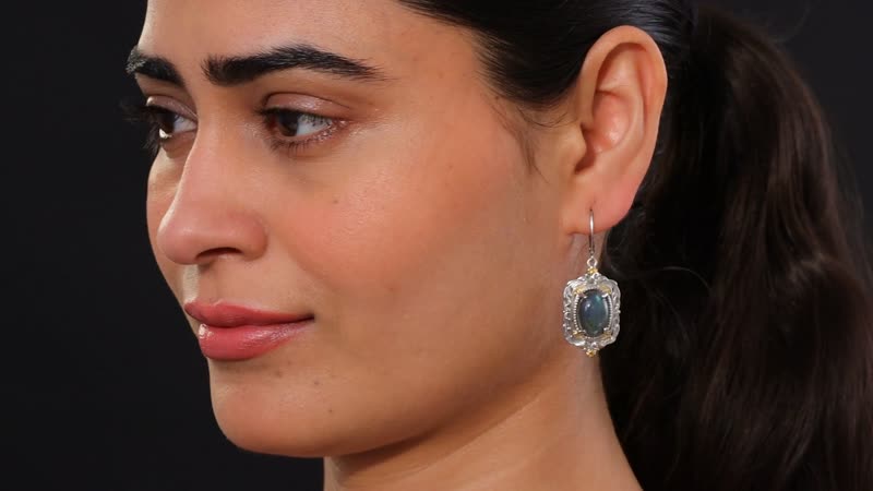Karis Malagasy Labradorite 12.10 ctw Lever Back Earrings in 18K YG Plated and Platinum Bond