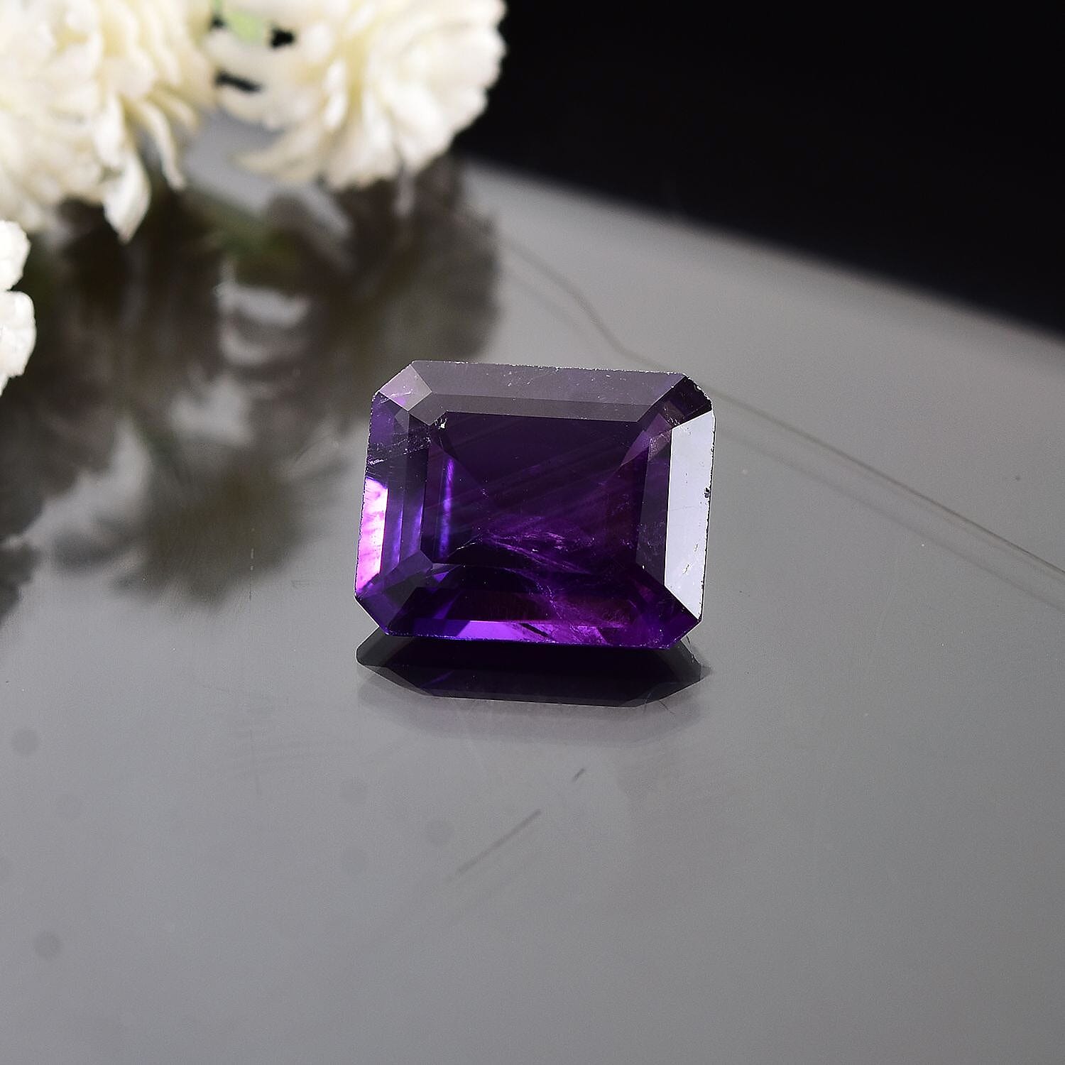 Default Title - Product card gallery slide 2 (10146032419099)