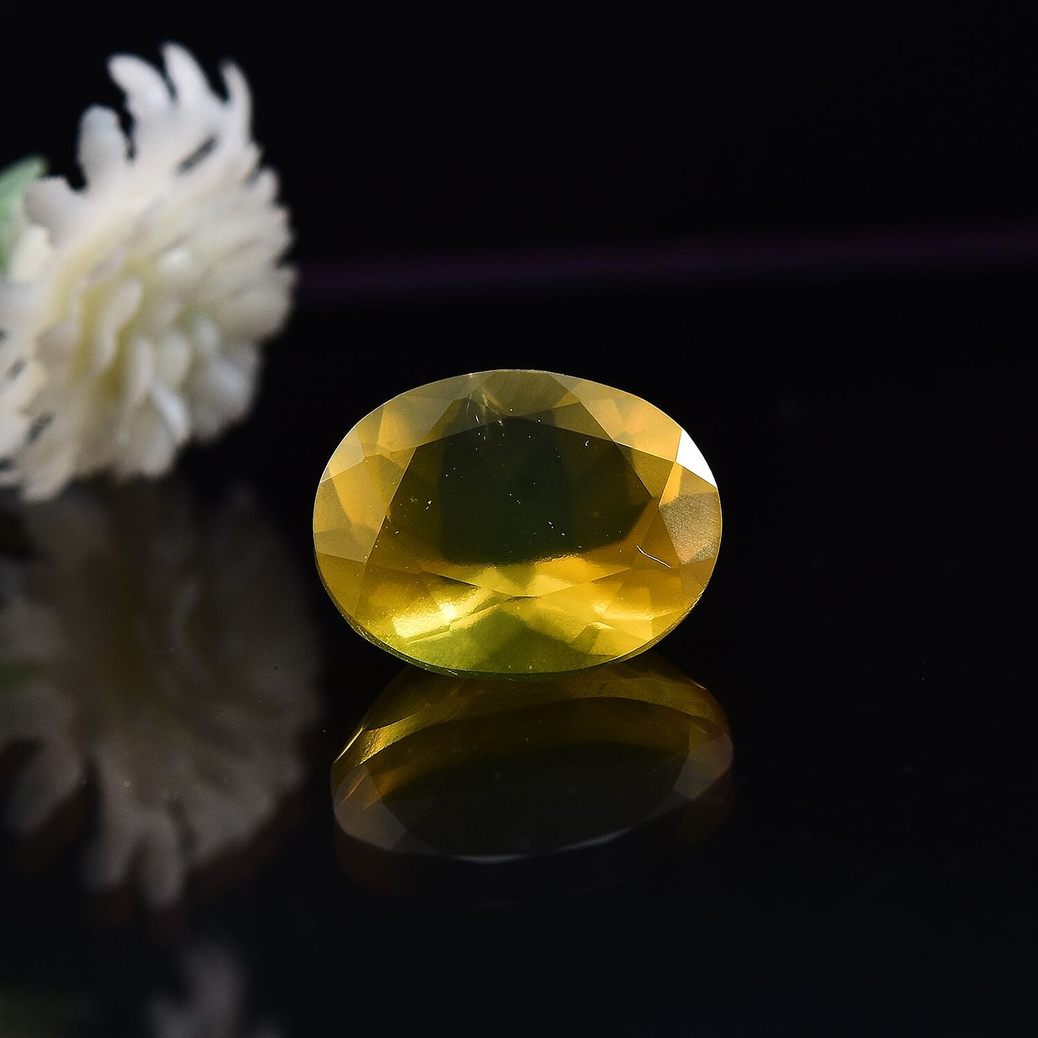 Default Title - Product card gallery slide 2 (10145968750875)