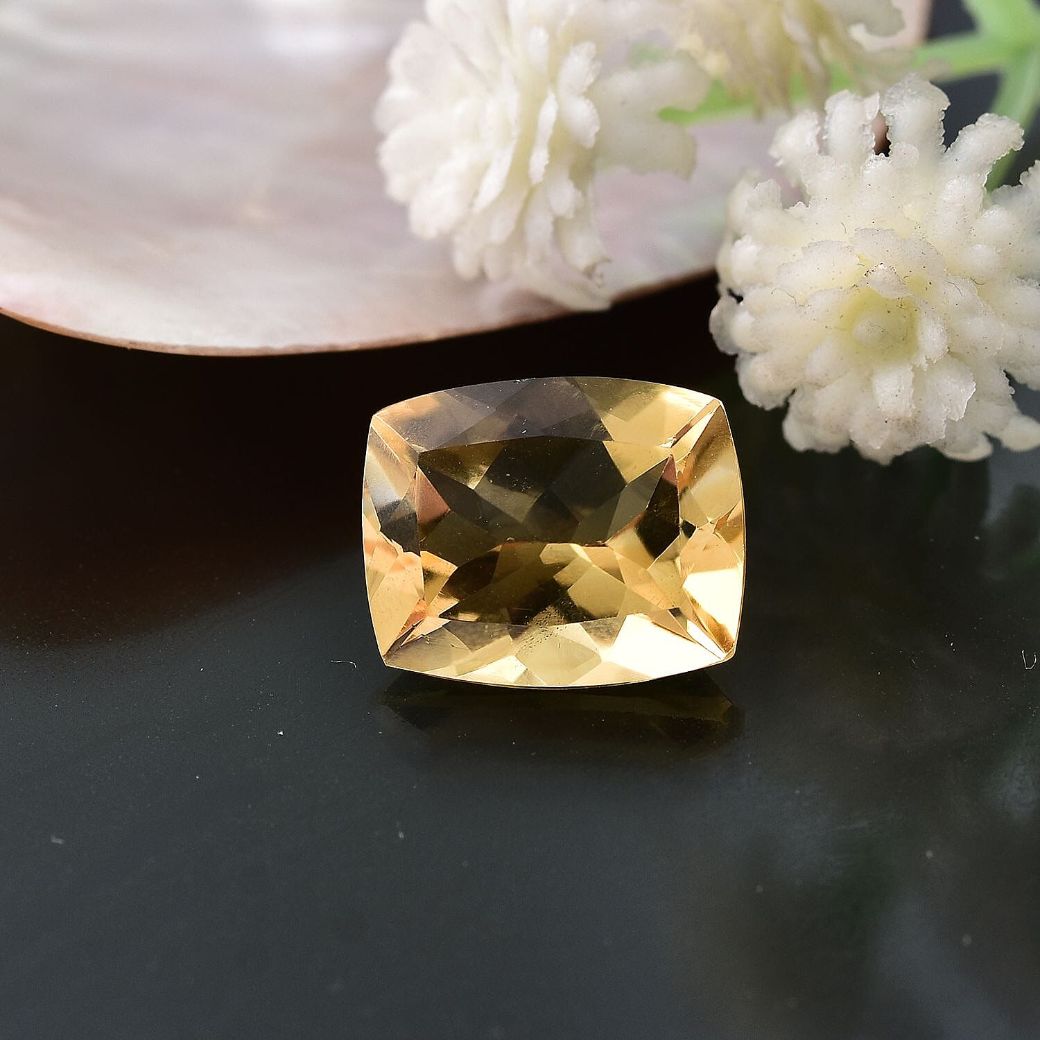 Default Title - Product card gallery slide 2 (10146032189723)