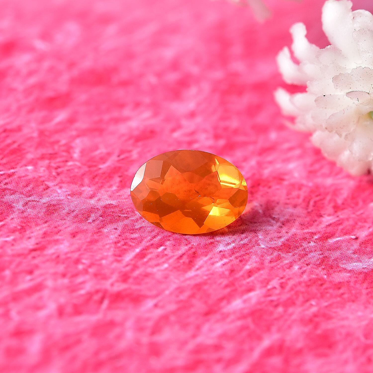 Default Title - Product card gallery slide 2 (10145949909275)