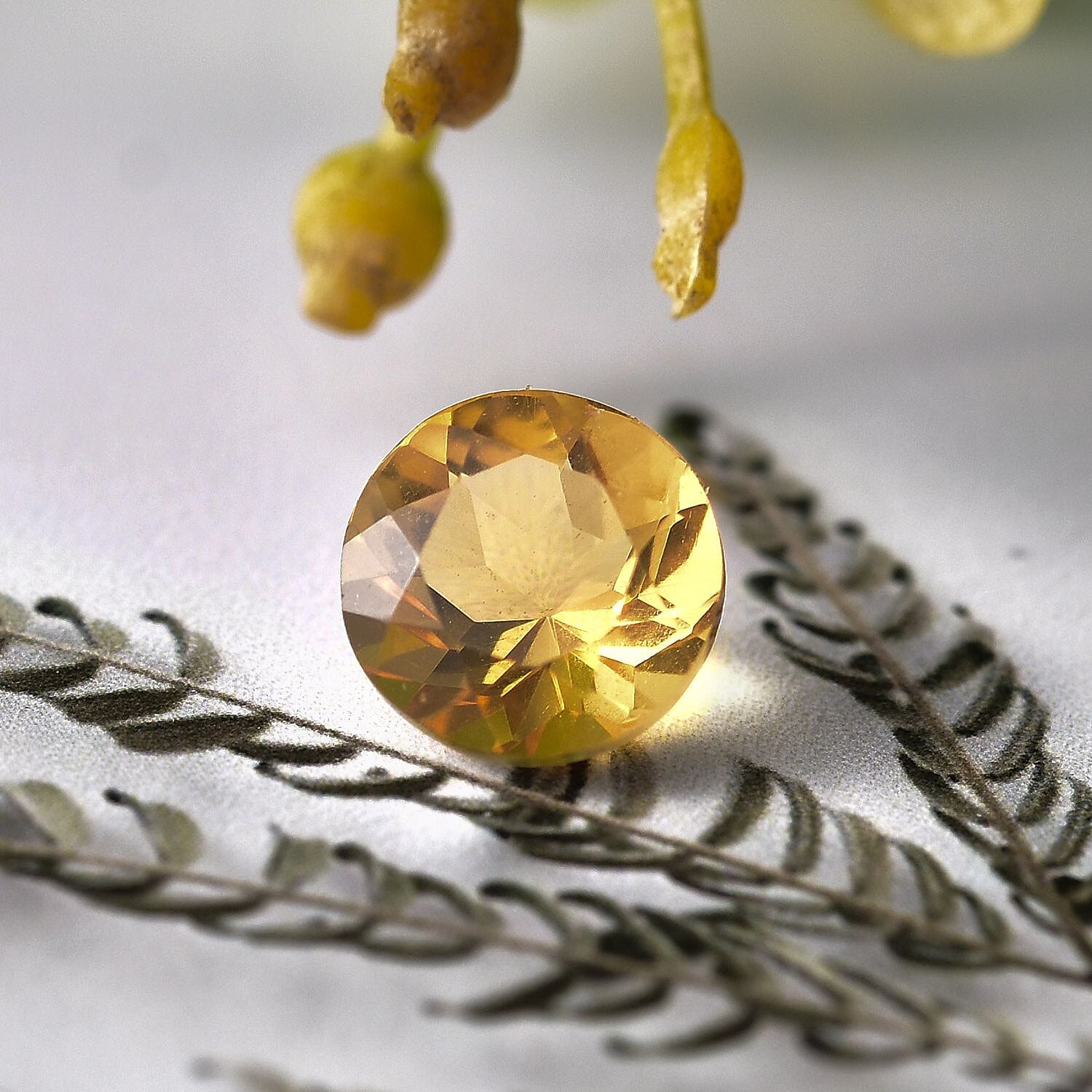 Default Title - Product card gallery slide 2 (10145943421211)