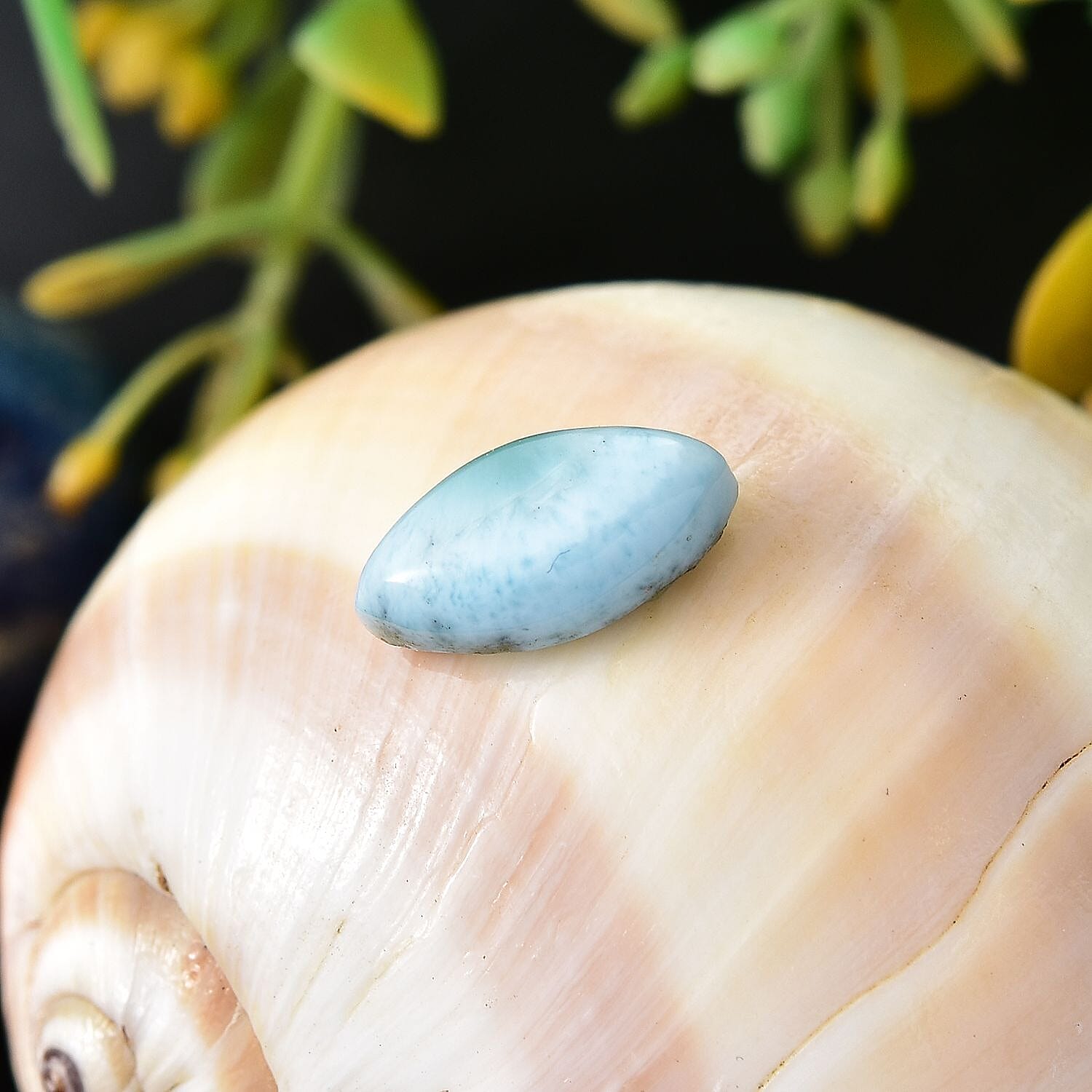 Larimar (Mrq 12x6 mm) 1.83 ctw