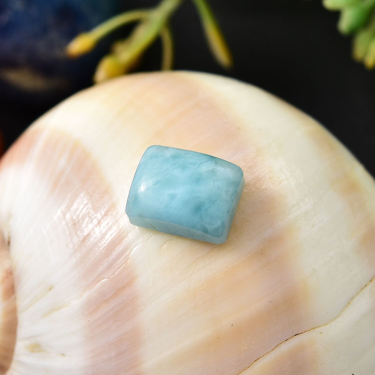 Default Title - Product card gallery slide 2 (10145964032283)