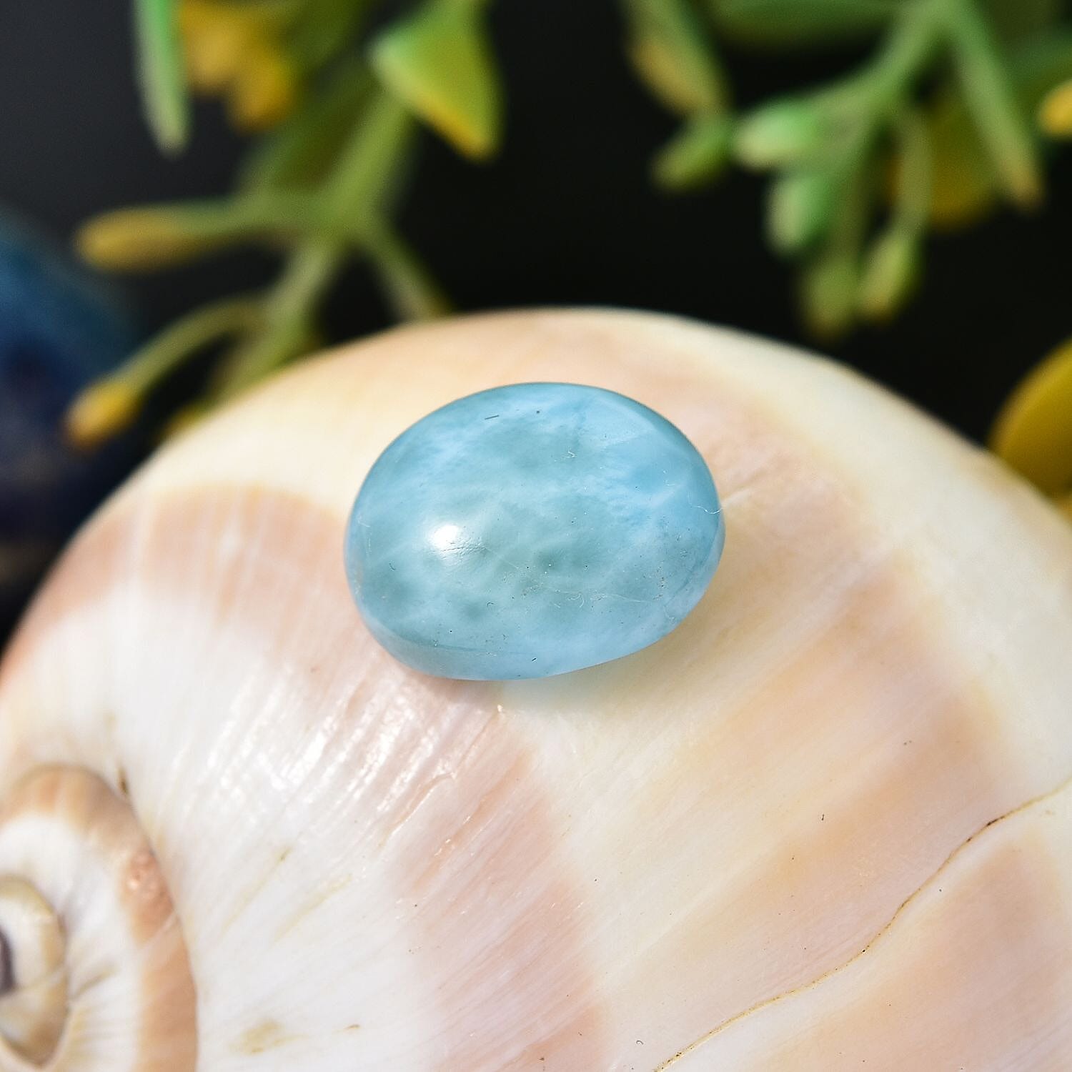 Default Title - Product card gallery slide 2 (10145954005275)