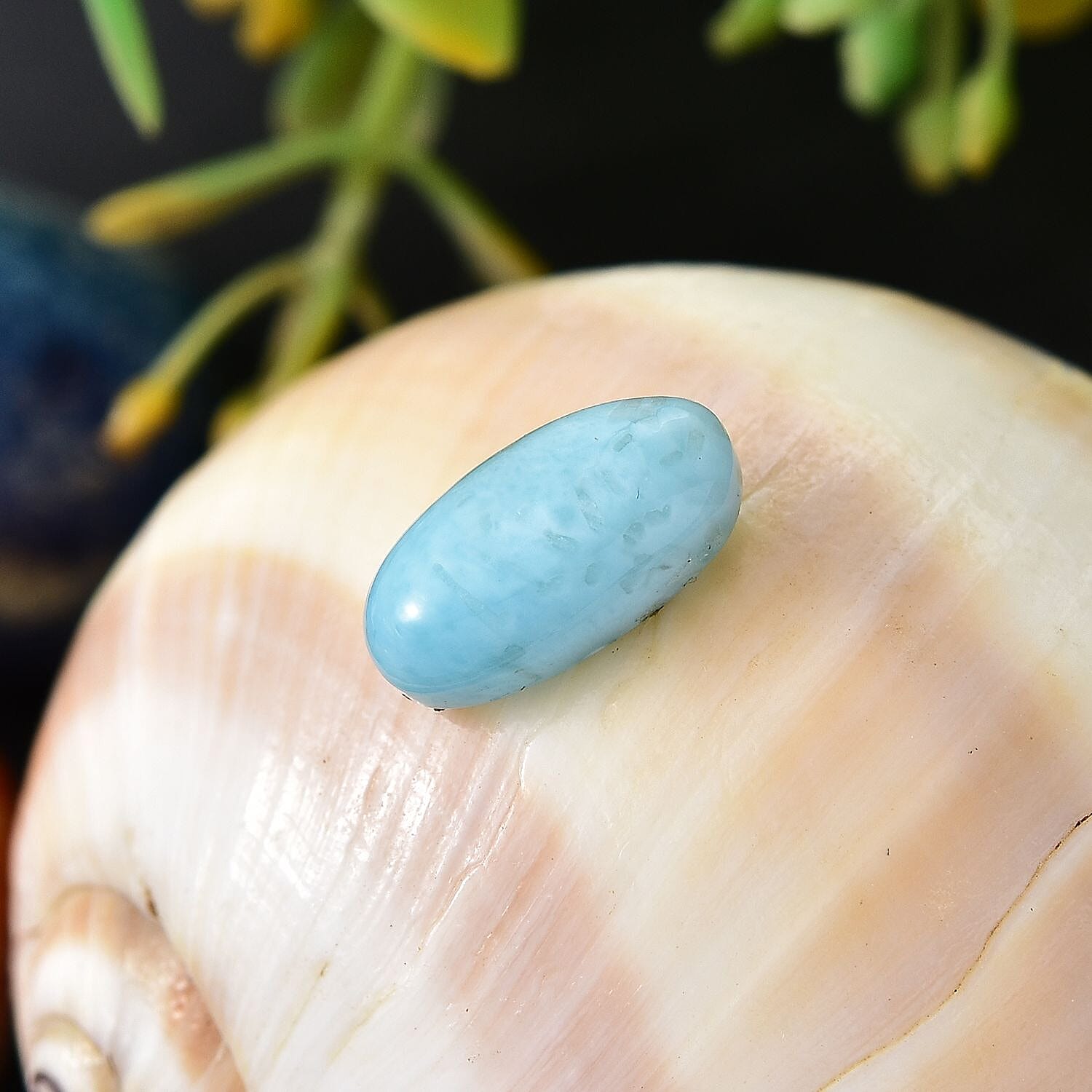 Larimar (Oval 12x6 mm) 2.55 ctw