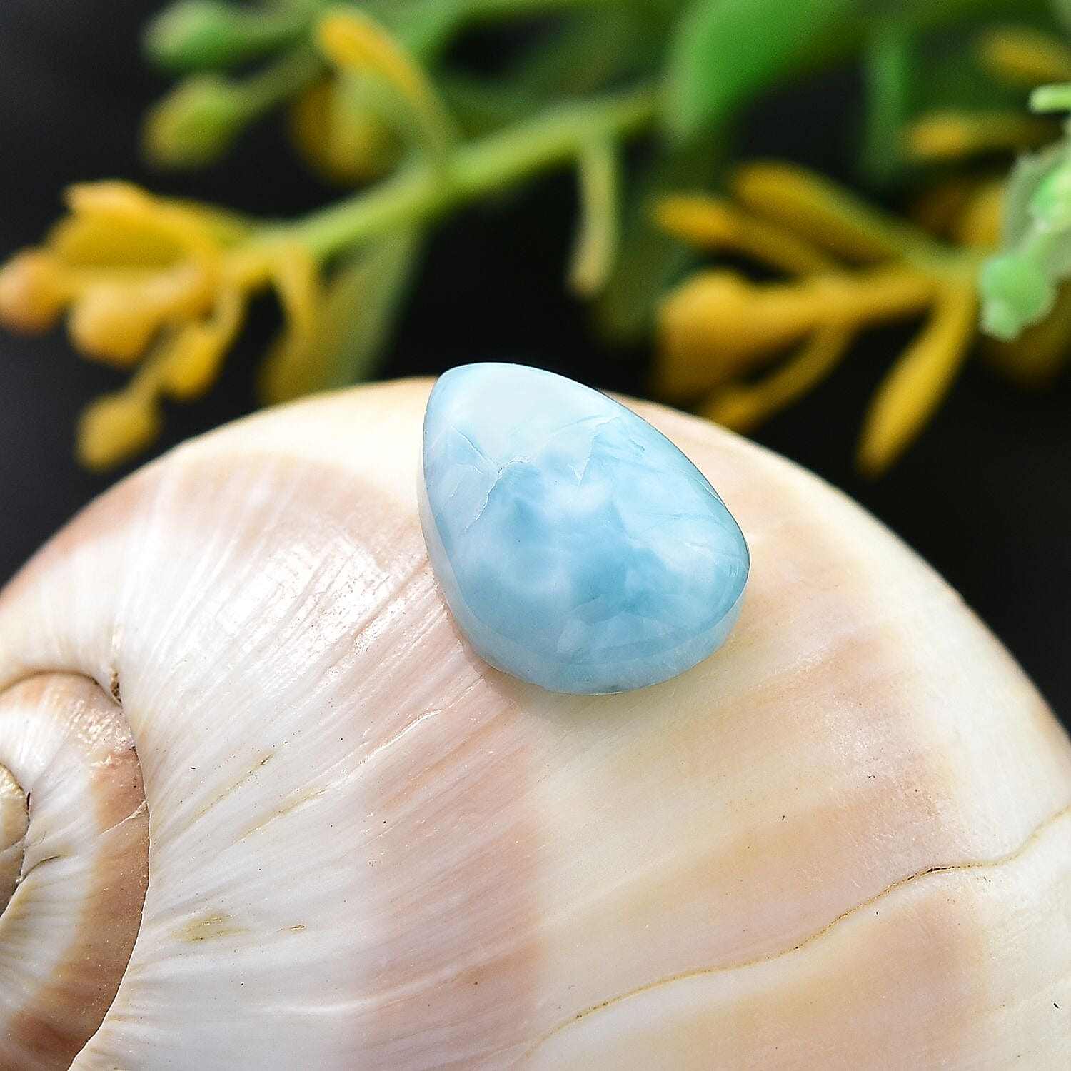 Default Title - Product card gallery slide 2 (10146032517403)