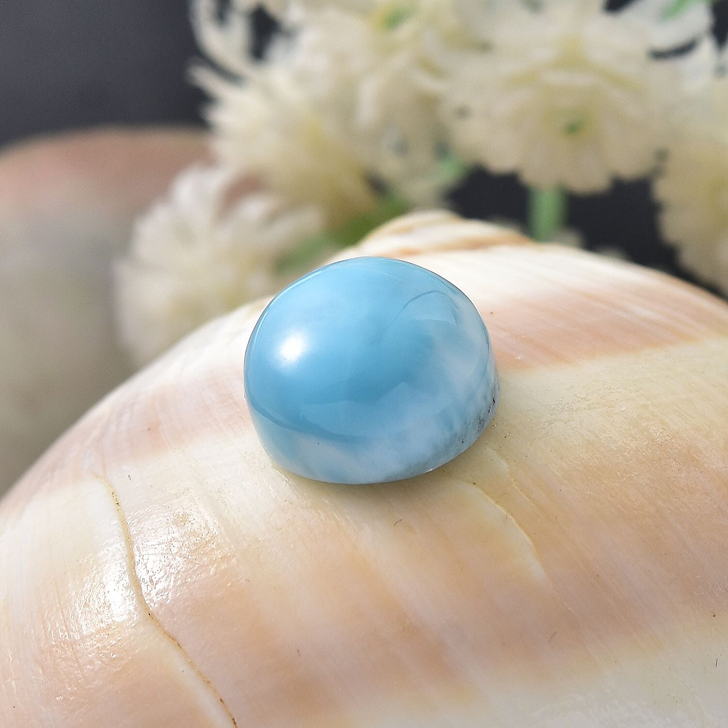 Default Title - Product card gallery slide 2 (10145974780187)