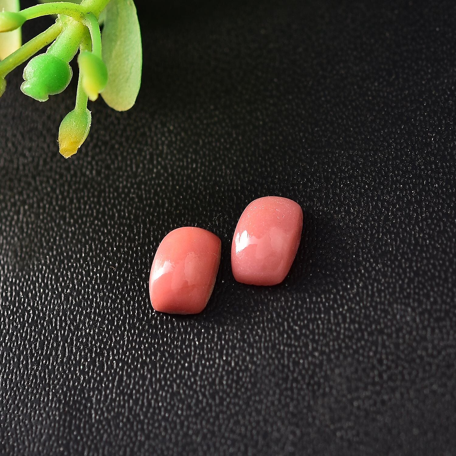 Default Title - Product card gallery slide 2 (10145959772443)