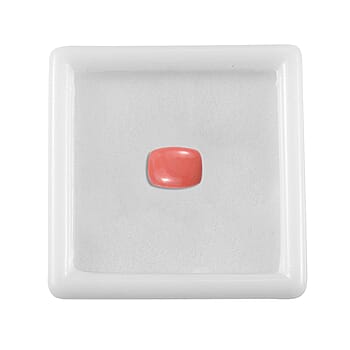 Default Title - Product card gallery slide 4 (10177907294521)