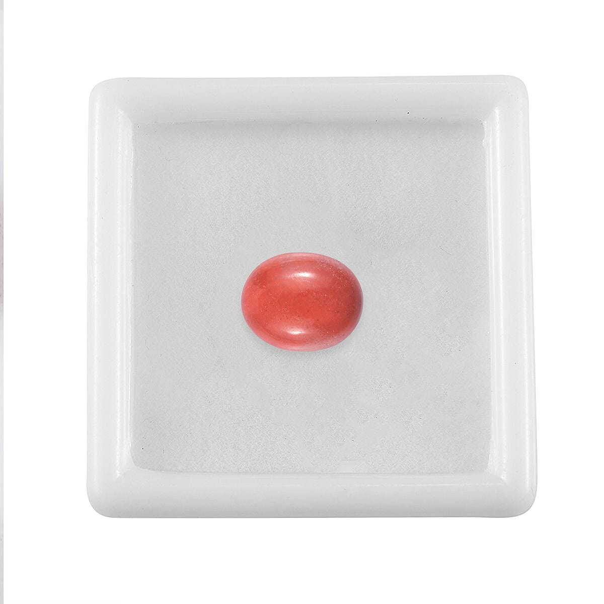 Default Title - Product card gallery slide 4 (10145969996059)