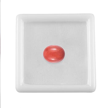 Default Title - Product card gallery slide 4 (10177907327289)