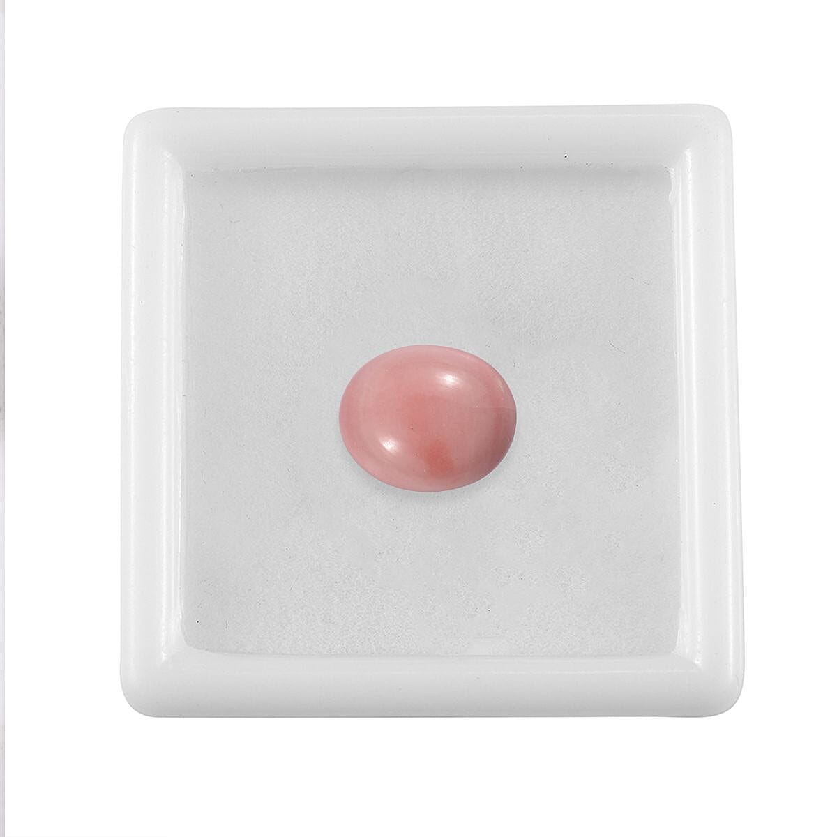 Default Title - Product card gallery slide 4 (10145964949787)