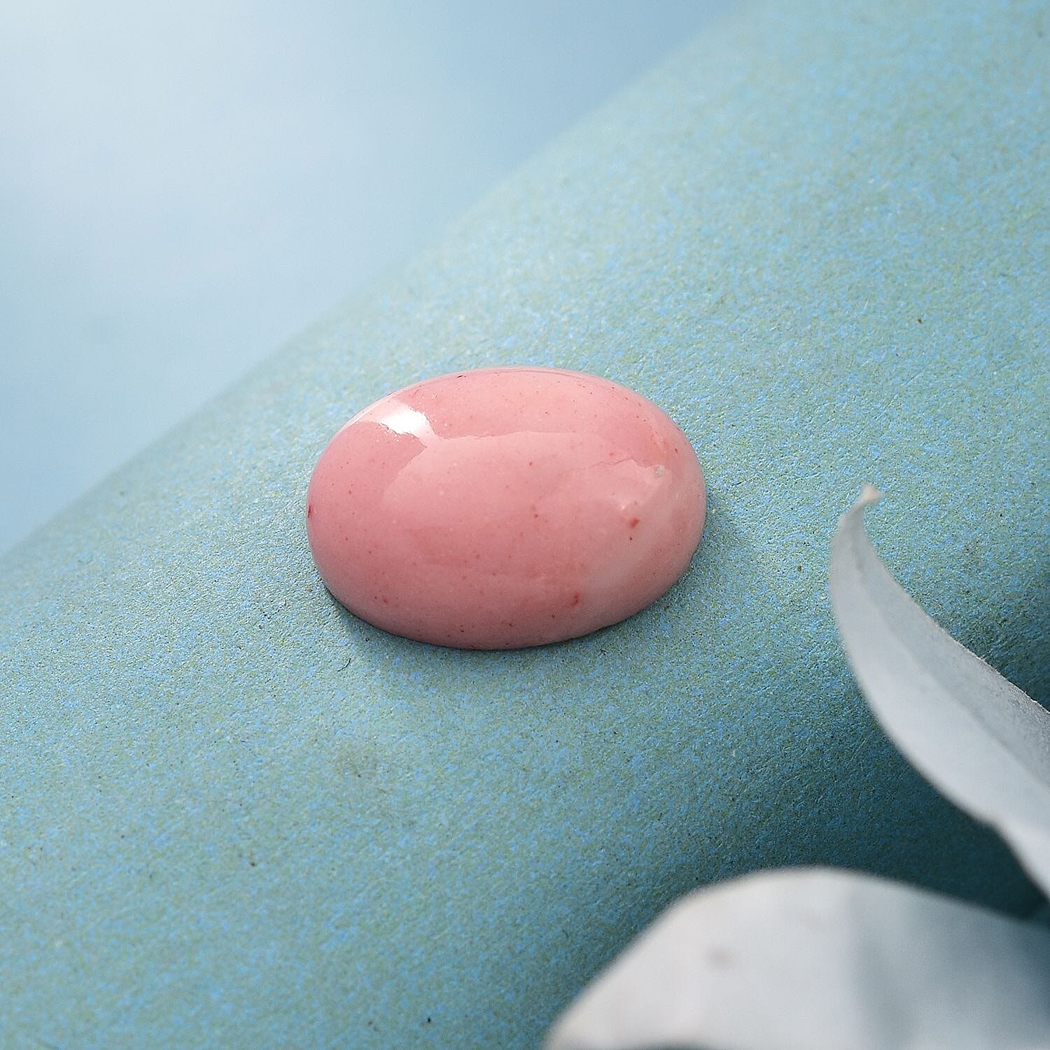 Default Title - Product card gallery slide 2 (10145965146395)