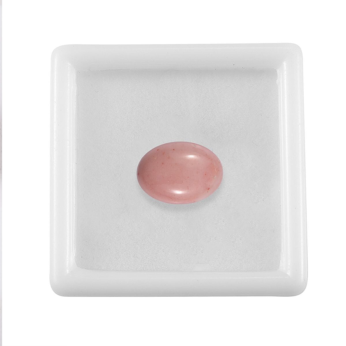 Default Title - Product card gallery slide 4 (10145965146395)