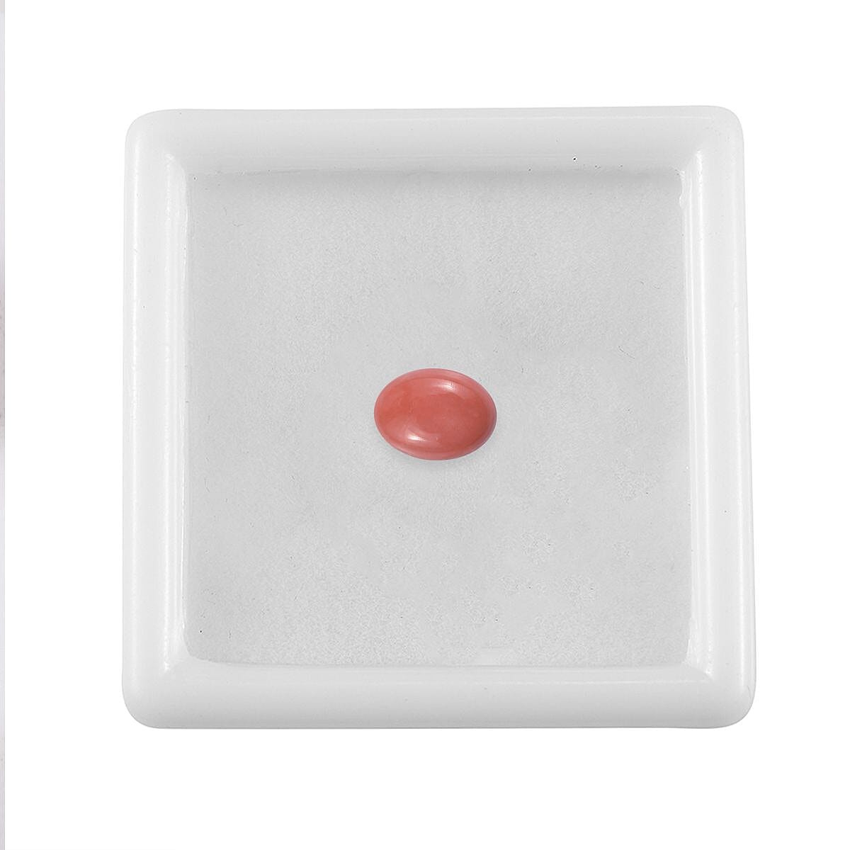 Default Title - Product card gallery slide 4 (10145959411995)