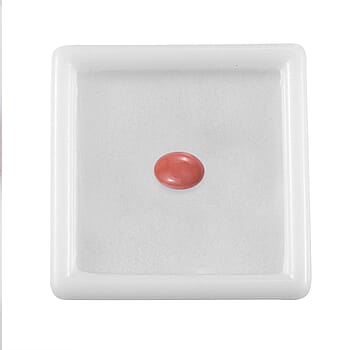 Default Title - Product card gallery slide 4 (10177908474169)