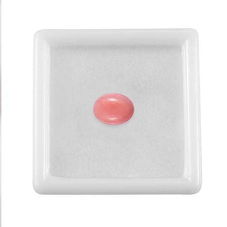 Default Title - Product card gallery slide 4 (10177908015417)