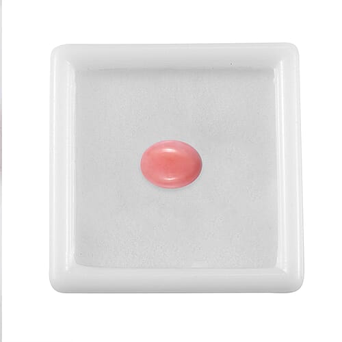 Default Title - Product card gallery slide 4 (10177908015417)