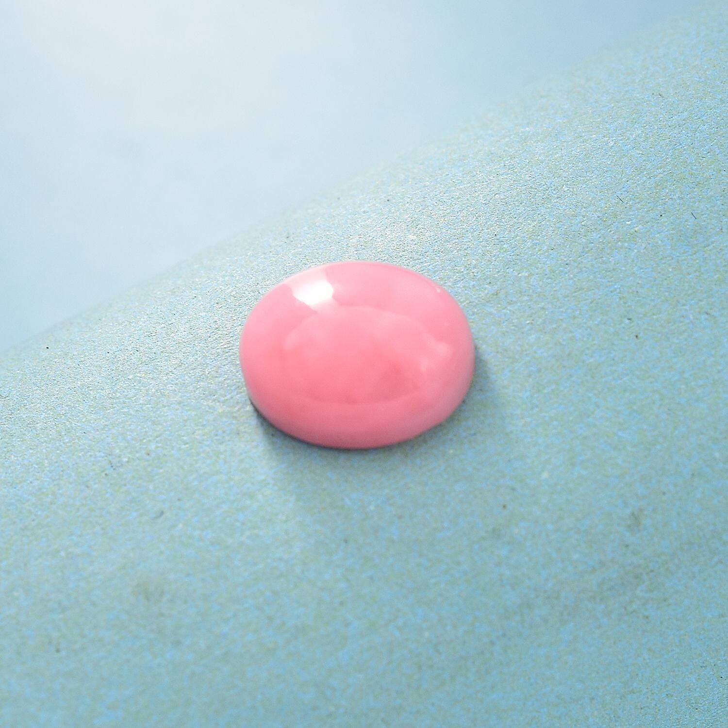 Default Title - Product card gallery slide 2 (10145949352219)