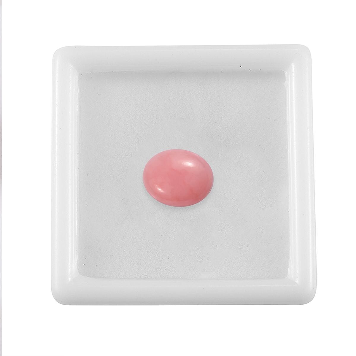 Default Title - Product card gallery slide 4 (10145949352219)