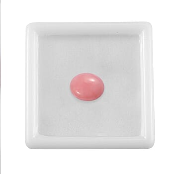Default Title - Product card gallery slide 4 (10177908408633)