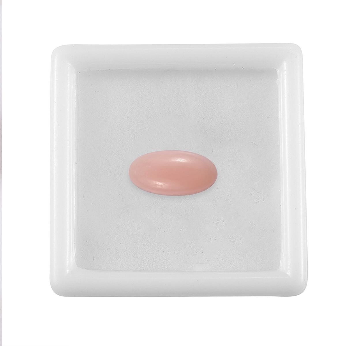 Default Title - Product card gallery slide 4 (10145949221147)