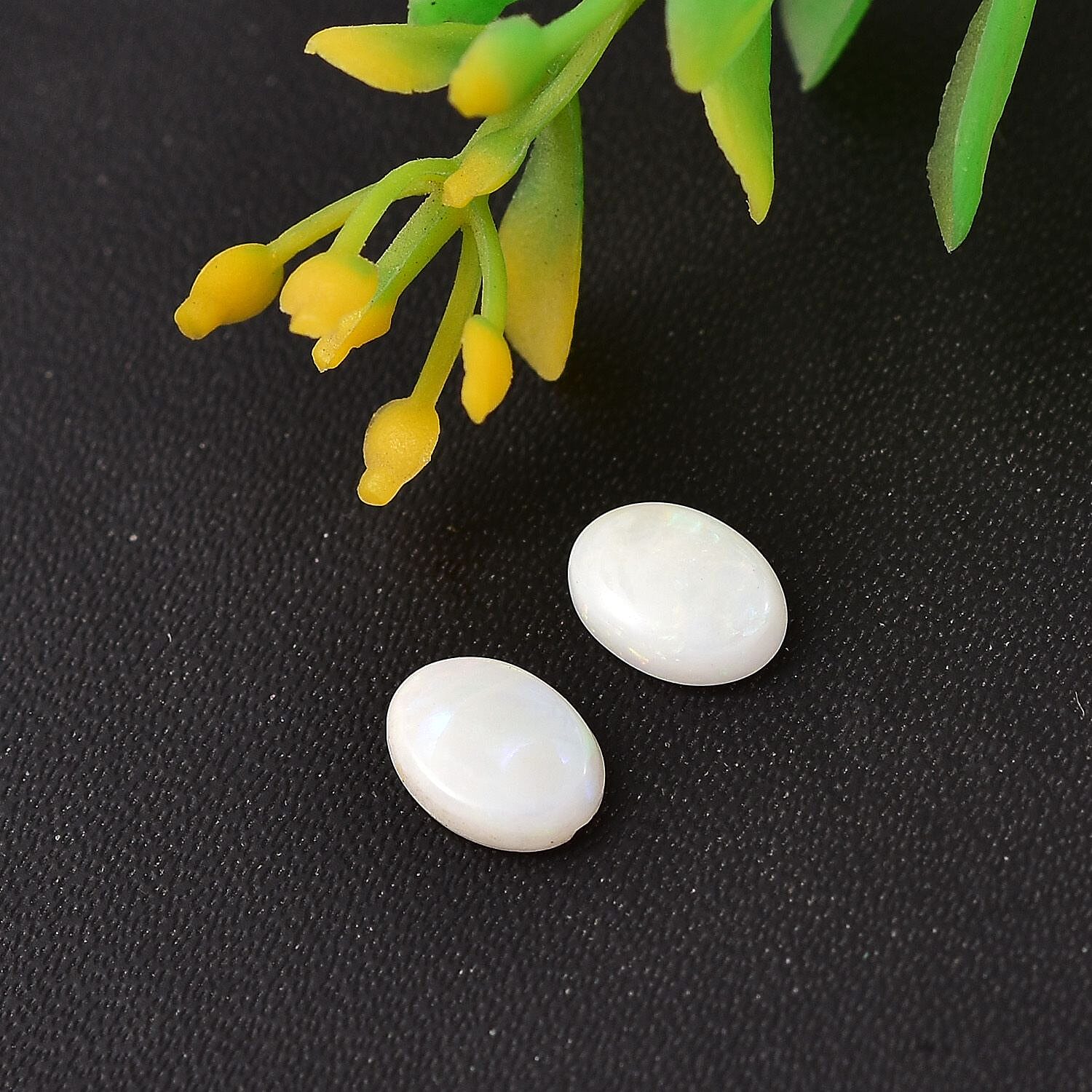 Default Title - Product card gallery slide 2 (10145954693403)