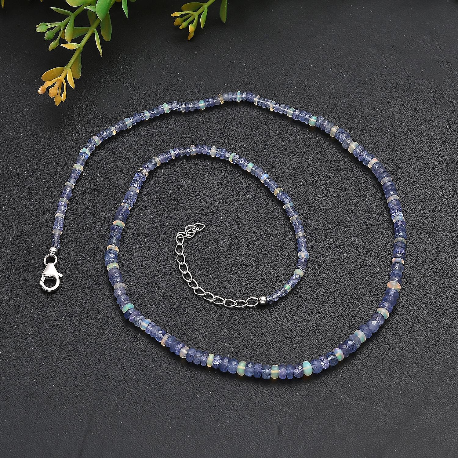 Default Title - Product card gallery slide 2 (10145970618651)