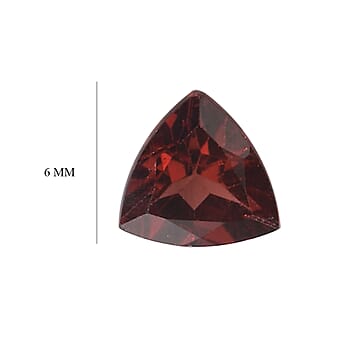 Default Title - Product card gallery slide 3 (10177917485369)