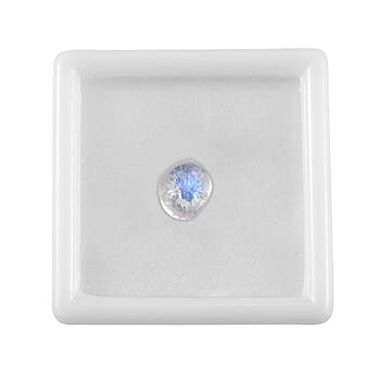 Default Title - Product card gallery slide 4 (10177918271801)