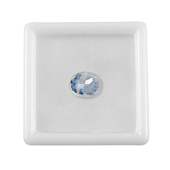 Default Title - Product card gallery slide 4 (10177918599481)