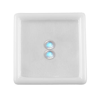 Default Title - Product card gallery slide 4 (10177918763321)