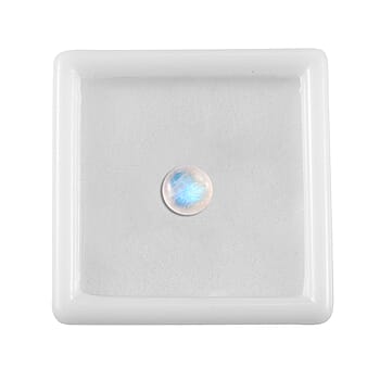 Default Title - Product card gallery slide 4 (10177919451449)