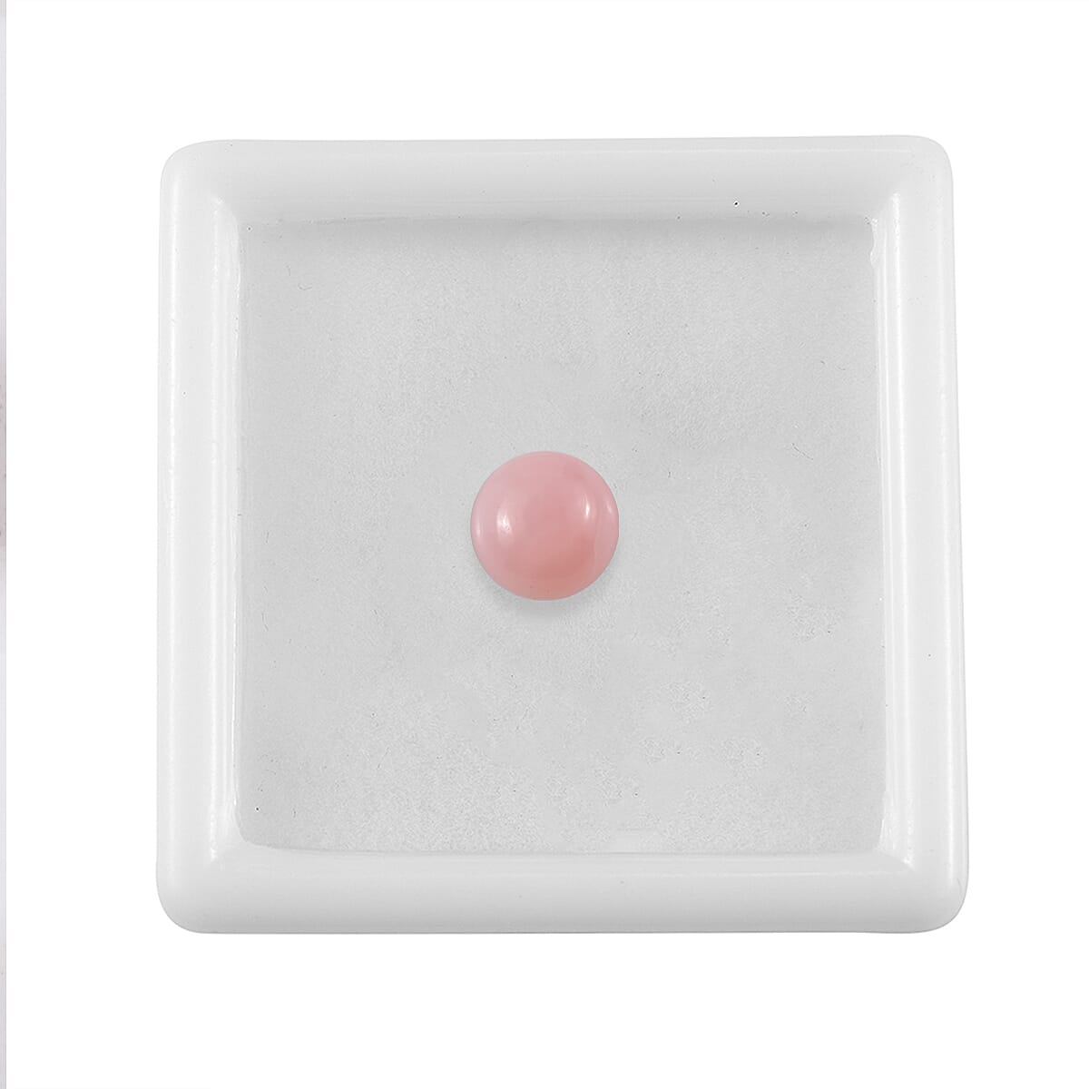 Default Title - Product card gallery slide 4 (10145976156443)