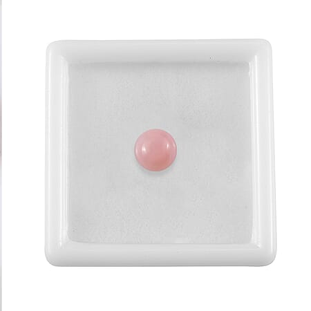 Default Title - Product card gallery slide 4 (10177919811897)