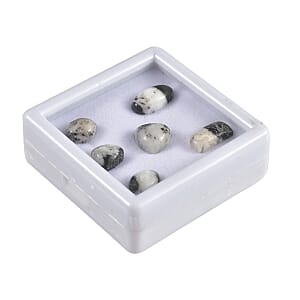 White Buffalo Assorted Box (Mix Mix mm) 15.00 ctw Loose Gemstone