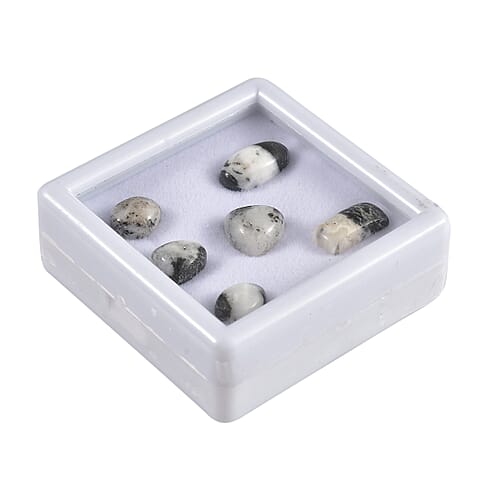 Default Title - Product card gallery slide 3 (9432628789503)