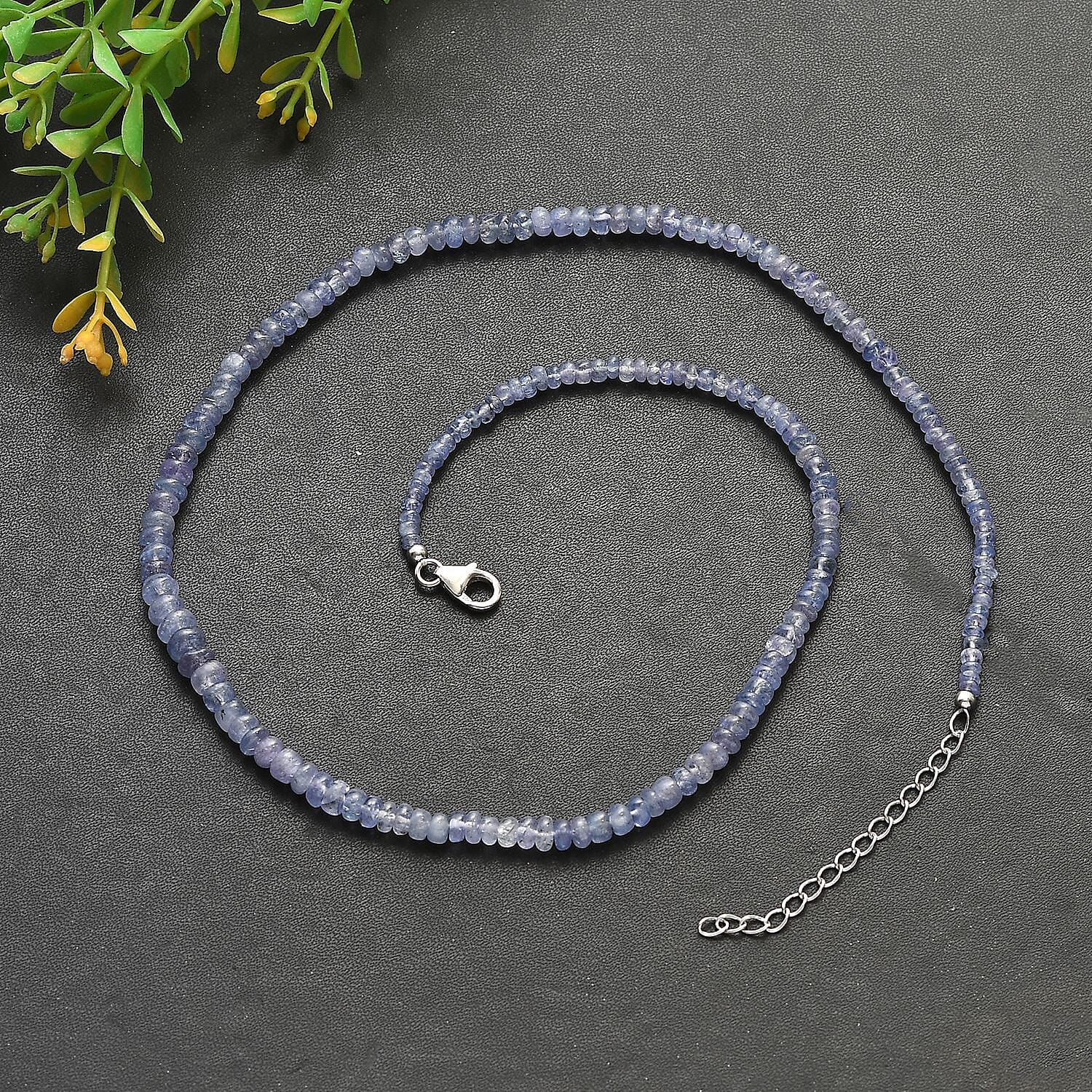 Default Title - Product card gallery slide 2 (10145983496475)