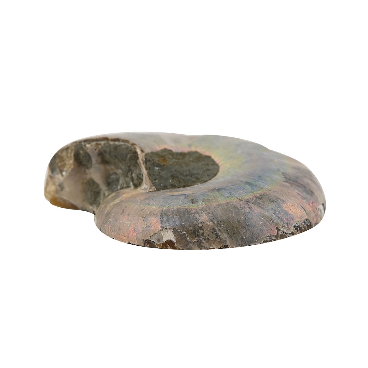 Default Title - Product card gallery slide 2 (10146000863515)