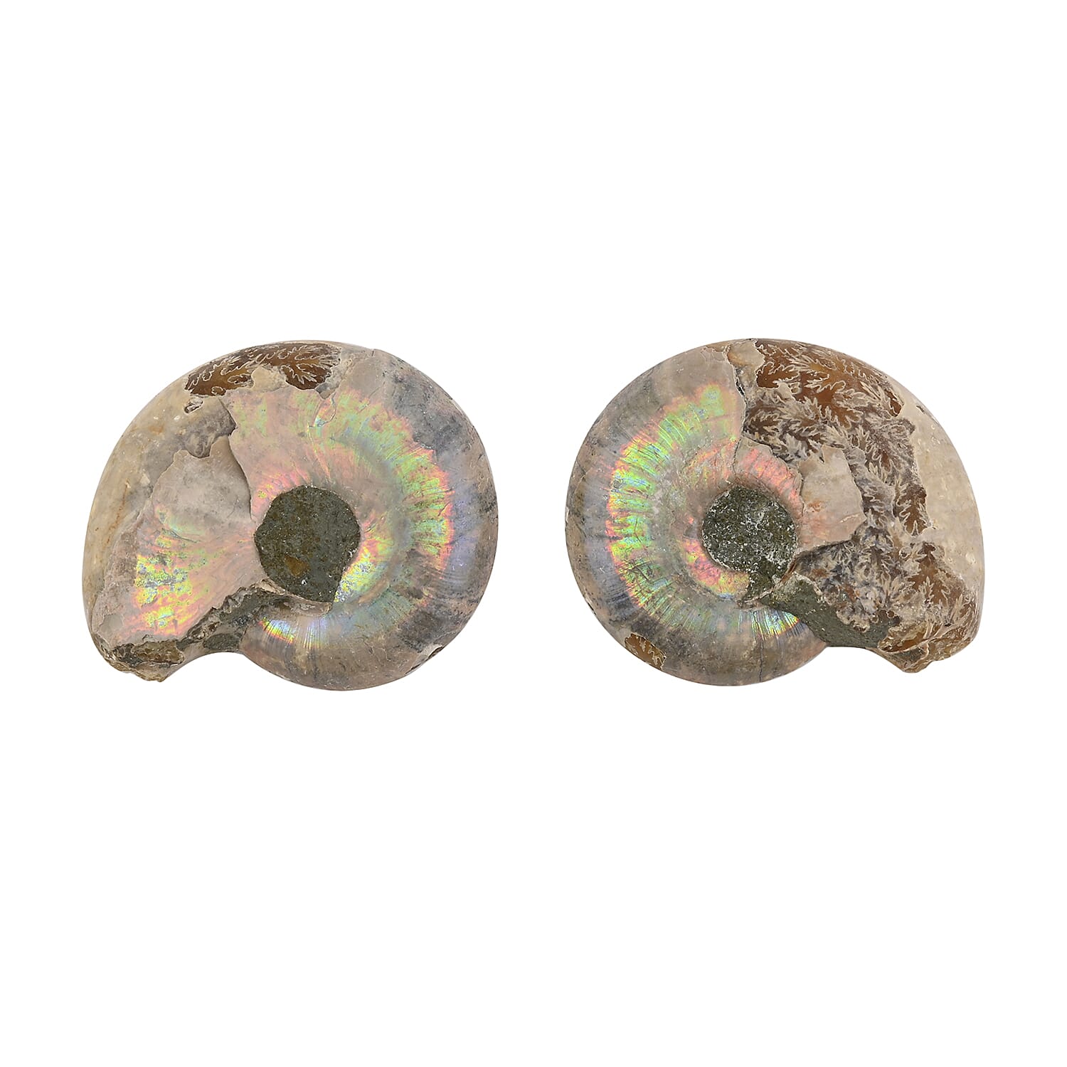 Default Title - Product card gallery slide 3 (10146000863515)